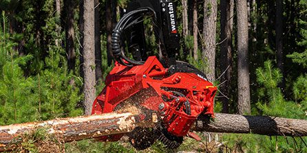 Waratah 624HX harvester head cutting wood