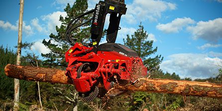 Waratah 626HX harvester head cutting wood